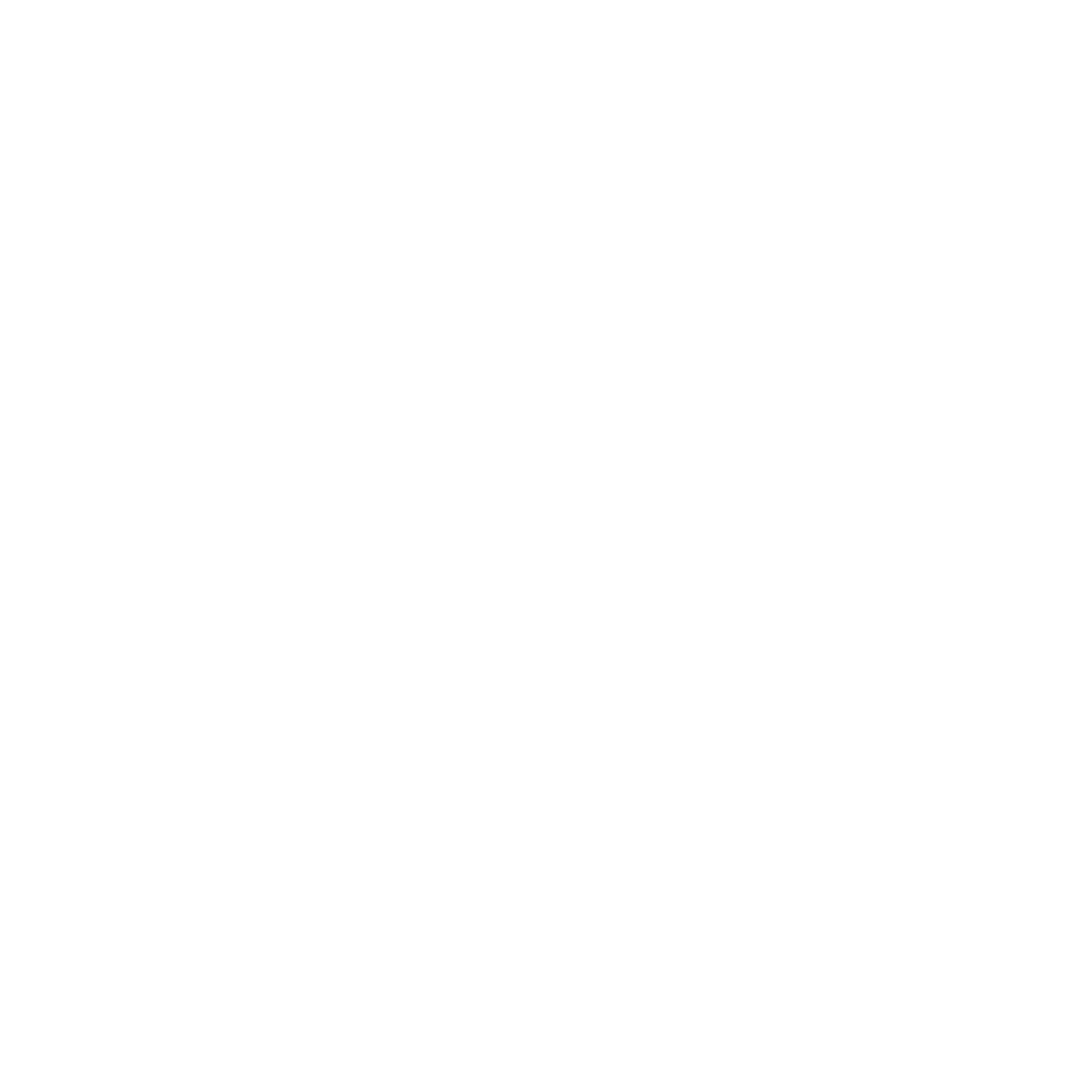 Burberry Logo