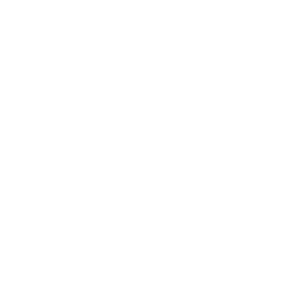 Alexander McQueen Logo