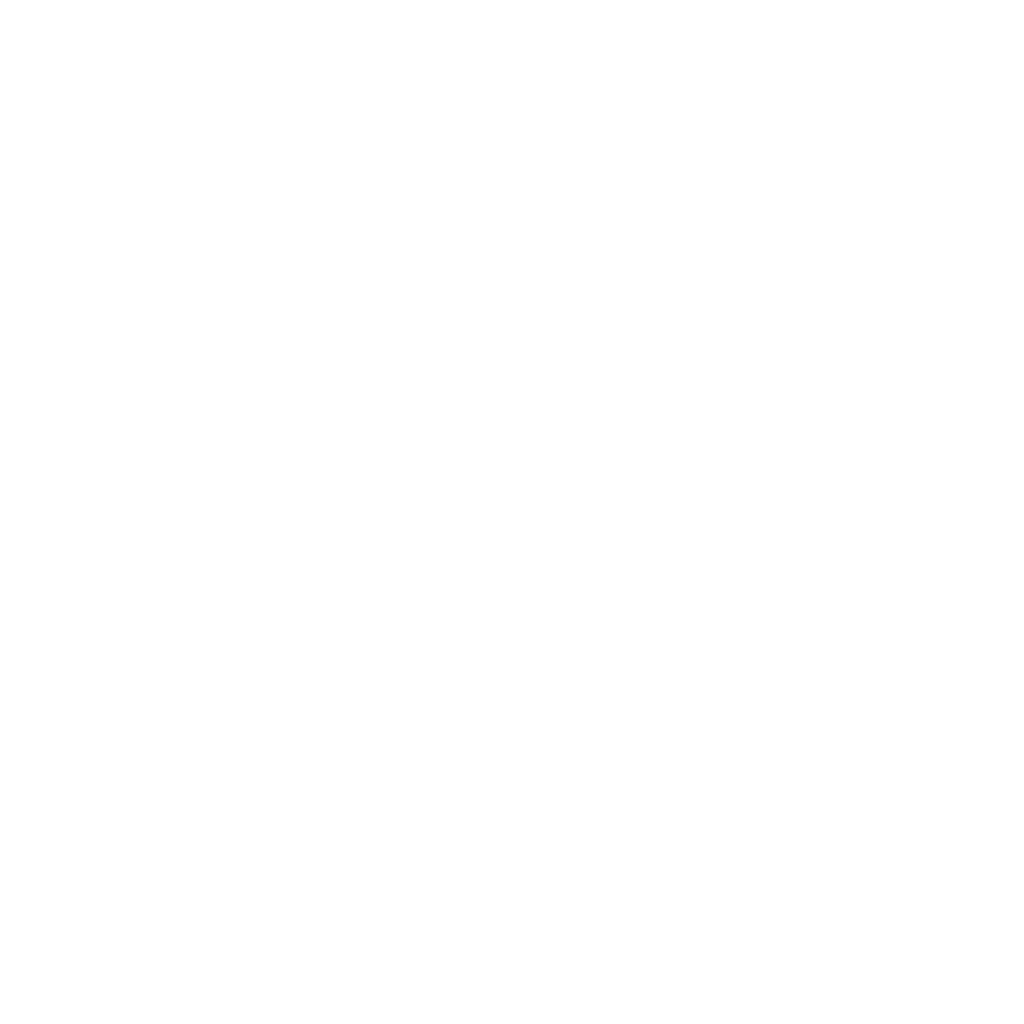 Zenith Logo